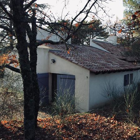 La Maison De Mado Et Sa Cabane Dans Les Arbres Plan d'Aups Exteriér fotografie