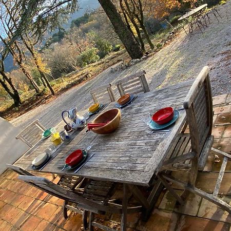 La Maison De Mado Et Sa Cabane Dans Les Arbres Plan d'Aups Exteriér fotografie