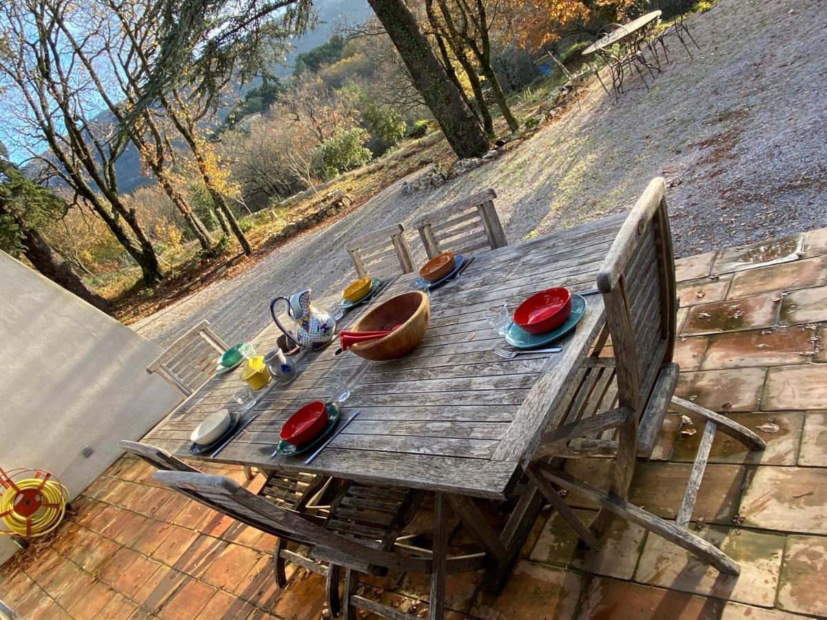 La Maison De Mado Et Sa Cabane Dans Les Arbres Plan d'Aups Exteriér fotografie