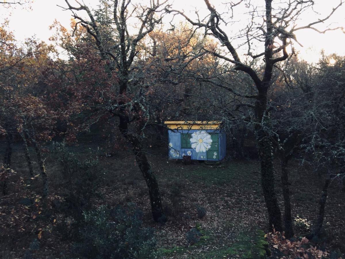 La Maison De Mado Et Sa Cabane Dans Les Arbres Plan d'Aups Exteriér fotografie