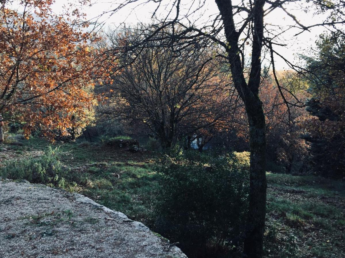 La Maison De Mado Et Sa Cabane Dans Les Arbres Plan d'Aups Exteriér fotografie