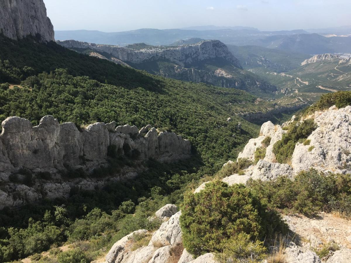 La Maison De Mado Et Sa Cabane Dans Les Arbres Plan d'Aups Exteriér fotografie