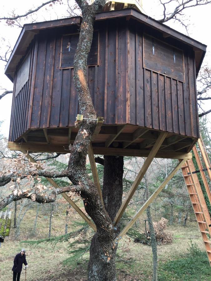 La Maison De Mado Et Sa Cabane Dans Les Arbres Plan d'Aups Exteriér fotografie